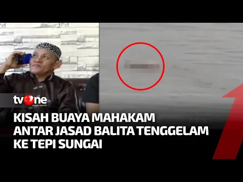 Geger, Buaya di Sungai Mahakam Antar Jasad Balita Tenggelam ke Tepian Sungai