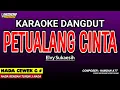 Download Lagu PETUALANG CINTA KARAOKE DANGDUT  - ELVY SUKAESIH