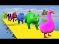Download Lagu Animals fountain Duck Gorilla Lion Elephant- fountain Transforms Animal crossing Cow Animal 105