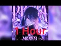 Download Lagu WHXTESXDE - PRAIA NO MÉXICO 1 Hour