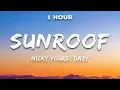 Download Lagu [1 Hour] Nicky Youre, dazy - Sunroof (Lyrics)