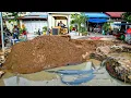 Download Lagu Wonderful New Project Mix! Skill Driver Dozer Filling Sand Into Flooded Garbage Area with 5Ton Truck