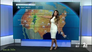 belleza americana la hermosa americana hot american weather girl sabrina fein