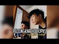 Download Lagu Bila Kau Pergi Jauh Ingat lah Aku Cover Ziell Ferdian ( lirik )