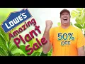 Lowes Amazing Plant Sale On Shrubs