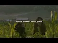Siempre estoy pa ti - Ed maverick