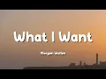 Download Lagu Morgan Wallen - What I Want (feat. Tate McRae) (Lyric Video)