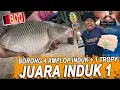 INDUK SUPER BESAR DI SATU JAM AKHIR BIKIN SEMUA PEMANCING BERSORAK, AMIS WANGI AGF TERBUKTI MACOK !!