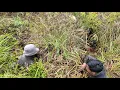 Download Lagu KEMBALI KE SPOT BER LUMPUR YANG MASIH BANYAK DI HUNI IKAN PEPUYU