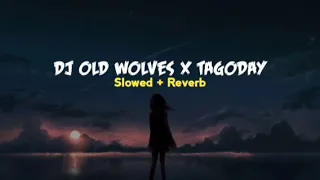 Download DJ OLD WOLVES X TAGODAY X LELOLAY AKIMILAKU SLOW BASS VIRAL TIKTOK🎶🎧 MP3