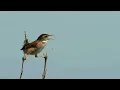 Download Lagu Akan segera dihapus, dipindahkan ke https://youtu.be/7WrAoMwZRY8