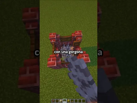gallinero para pollitos felices