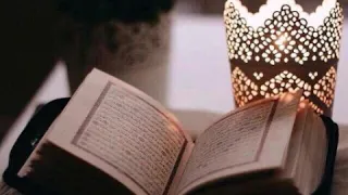 الشيخ نبيل الوكيل 