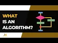 What is an Algorithm Data Structures and Algorithms
