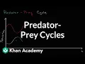 Predator prey cycle Ecology Khan Academy