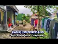 Download Lagu Pelosok kota tanGerang..Suasana sejUk \u0026 Adem di kampUng seredanG warGanya ramah