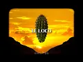 Babasonicos - El loco (Letra)