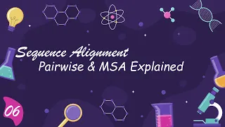Sequence Alignment Basics Global Local Pairwise MSA Explained