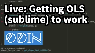 Getting Odin Language Server Sublime to work