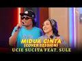 Download Lagu UCIE SUCITA feat SULE (@OFFICIALSLMUSIC ) - MIDUA CINTA