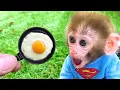 Download Lagu Monyet Bon Bon Imut memanen telur di kebun untuk membuat kue di rumah