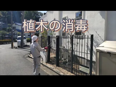 【迅速対応】◆ハチの巣駆除◆ 危険な駆除、お任せください！チャドク蛾の駆除も！！