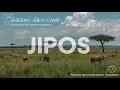 JiPOS Installation at Naserian Mara Camp - Best Hotel System in Kenya