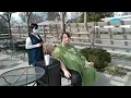 st baldricks at helen fitzgeralds virtual shave from Mommys design farm florissant missouri