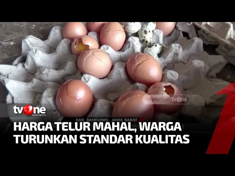 Telur Pecah Ramai Diburu Pembeli