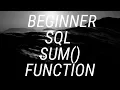 Episode 4 - Beginner SQL SUM Function Part 1