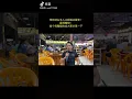 最后的莫西干人+谁能明白我 bản hay nhất