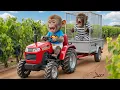 Monkey iZi Drives Tractor to Harvest Grapes and Catch Sneaky Thieves on the Farm! 🐒🍇🚜
