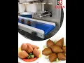 Download Lagu kubba making machine/small encrusting machine
