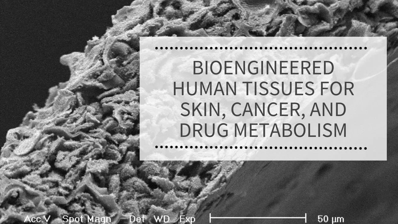Bioengineered Human Tissues for Skin, Cancer, and Drug Metabolism | REPROCELL Webinar Series