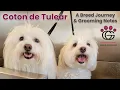 Coton de Tulear breed journey and grooming notes SPECIAL EDITION Nerd Vault alert