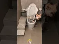 Lagu Self - made convenient auxiliary tool for pets to use the toilet