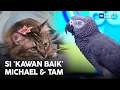 Si 'Kawan Baik' Michael \u0026 Tam | MHI (6 Jun 2022)