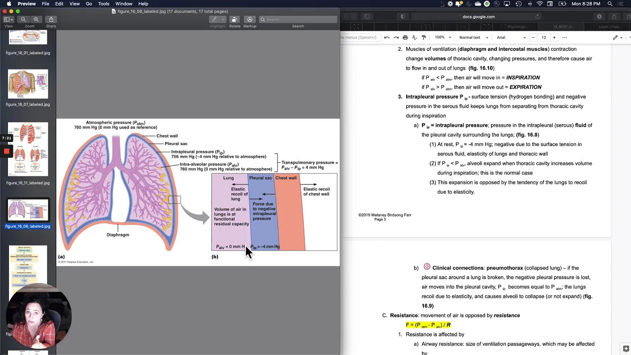 Resp2 Mechanics of ventilation