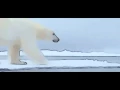Download Lagu CARLOS PERÓN Eisbär (Polar Fun Mix)
