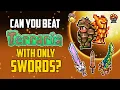 Can You Beat Terraria With Only Swords HappyDays