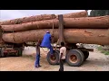 Download Lagu De gevaarlijkste wegen ter wereld - Gabon - Het dodelijkste bos