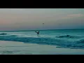 Relaxing Beach Waves Destin Beach Florida USA