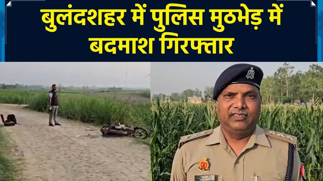 बुलंदशहर में पुलिस मुठभेड़ में बदमाश गिरफ्तार