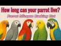 The parrot lifespan ranking reveals how long your parrot can live