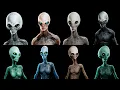 Who are Grey Aliens