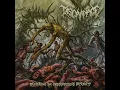 Download Lagu Discarnage - Devouring The Unscrupulous Depravity (Full Album)
