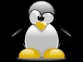 Tutorial On How To Increment Variables In Bash