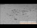 Penetrating Solvent Based Silane Siloxane Water Repellent Concrete Brick and Masonry Sealer