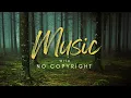 Download Lagu Cheerful Cinematic Song (without solo guitar) l Music With No Copyright l Free Background Music.