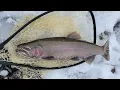 CDFW Supporting Eagle Lake Rainbow Trout Populations Throughout California